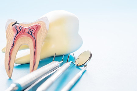 Stoughton Dentistry